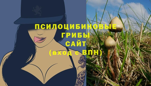 эйфоретик Алексеевка
