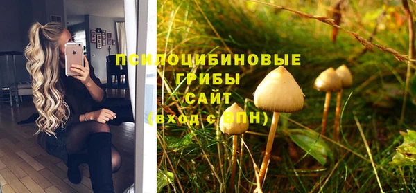 эйфоретик Алексеевка