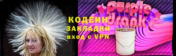 2c-b Бикин