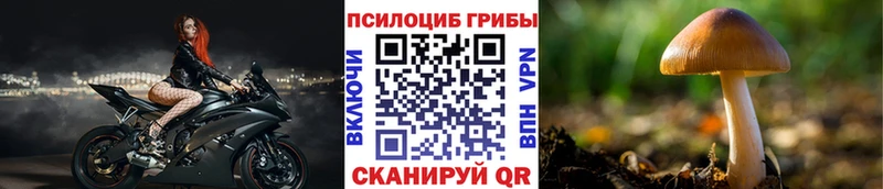 Галлюциногенные грибы мицелий  Павлово 